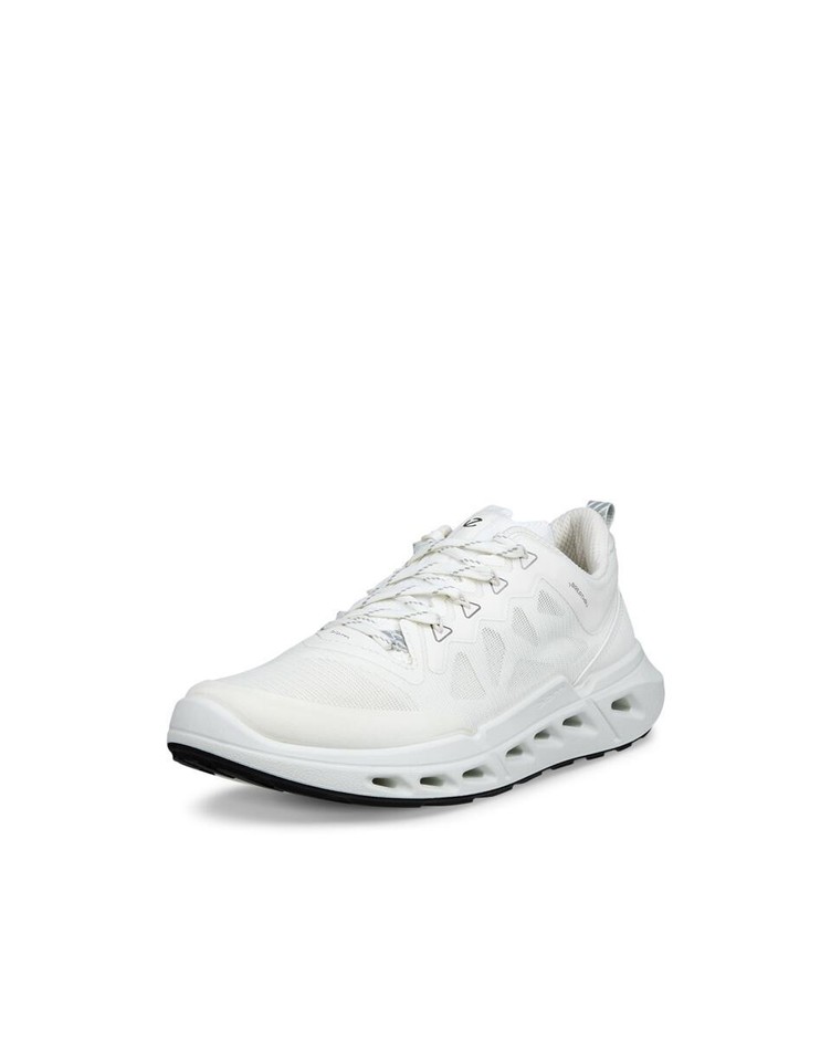 BIOM 720 W