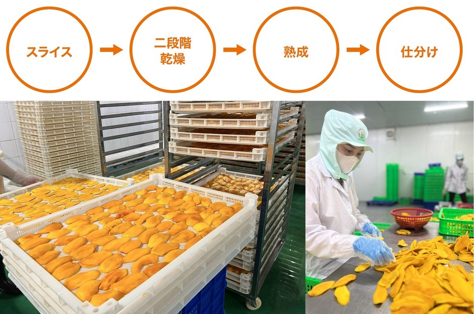 製造工程