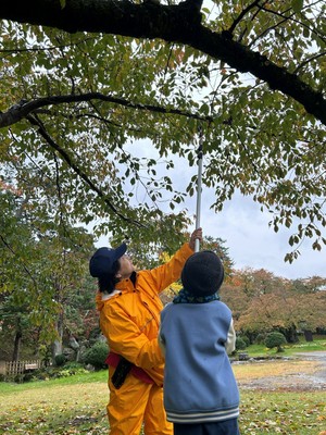 さくらに関する体験型イベント(令和7年11月2日の様子)