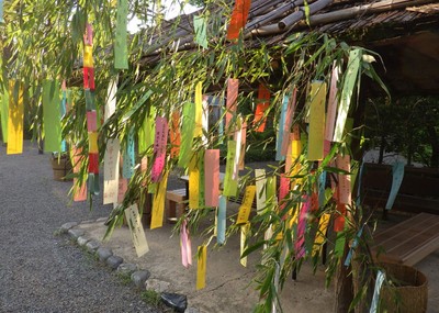 七夕飾り（過年度の様子：小石川後楽園）