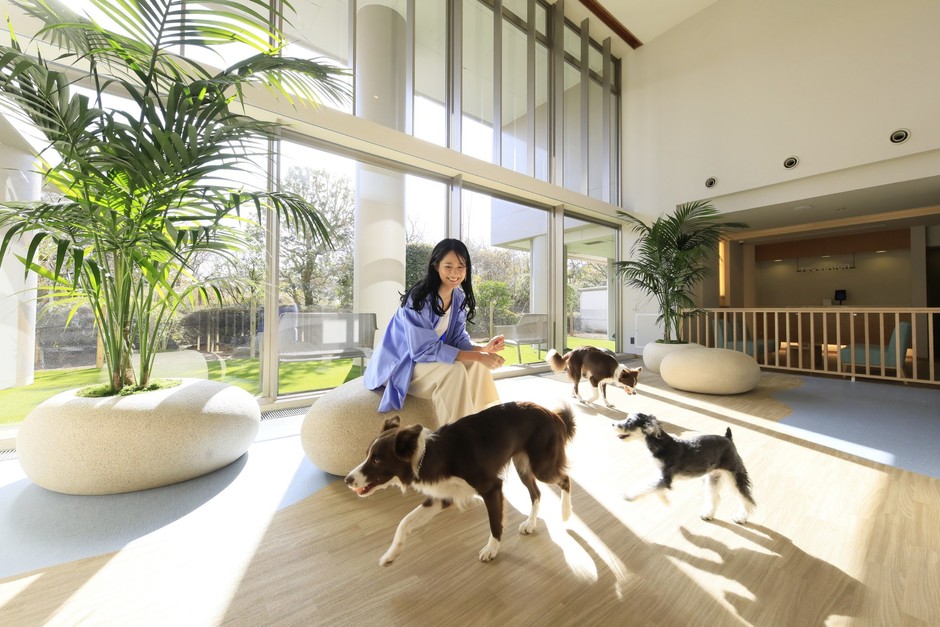屋内ドッグラン(ゆるり熱海withDOGS)