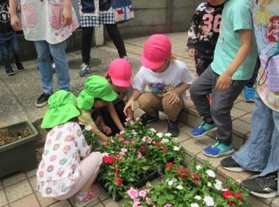 花壇イメージ