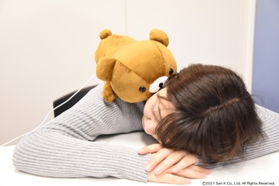 あったかぬいぐるみシリーズ 使用イメージ(3)