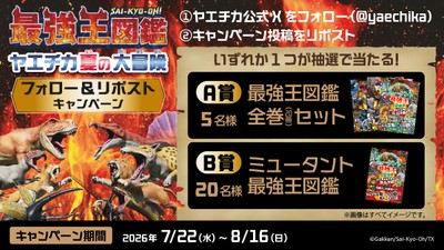 5_XCP画像