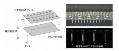 今回新たに開発した装置の構造（左）、釘を固定した部分の拡大画像（右）