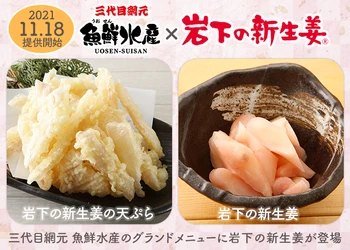 海鮮居酒屋『三代目網元 魚鮮水産』のグランドメニューに「岩下の新生姜の天ぷら」「岩下の新生姜」が登場！11月18日提供開始。