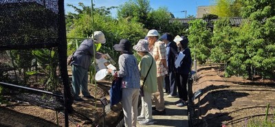 令和7年（2025年）7月に実施した薬用植物園見学会の案内ツアーの様子