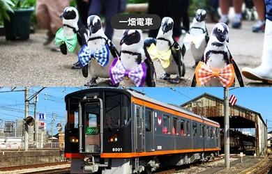 出雲大社観光に便利　一畑電車が1日乗り放題　 松江フォーゲルパーク入園券付き乗車券を モバイルチケットで販売開始