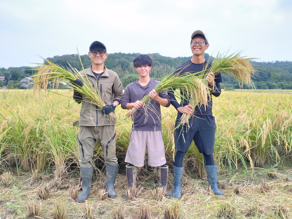 【米の生産（1次産業）】
