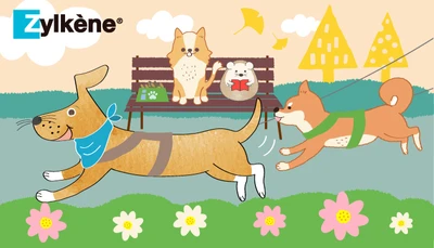 【飼主さま必見】今日もお散歩行きますか？愛犬とのお散歩を楽しむために🐕﻿