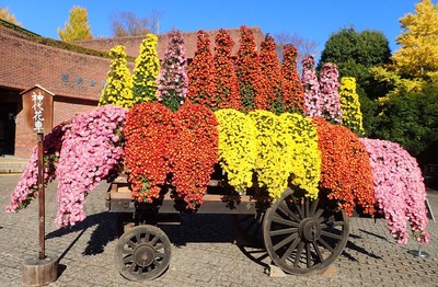 神代植物公園名物「神代花車」(令和4年度撮影)