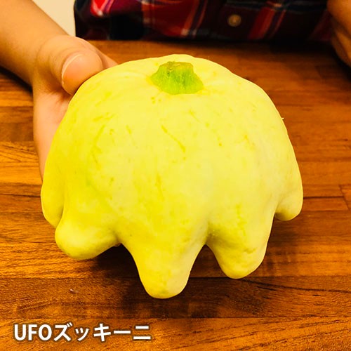 UFOズッキーニ