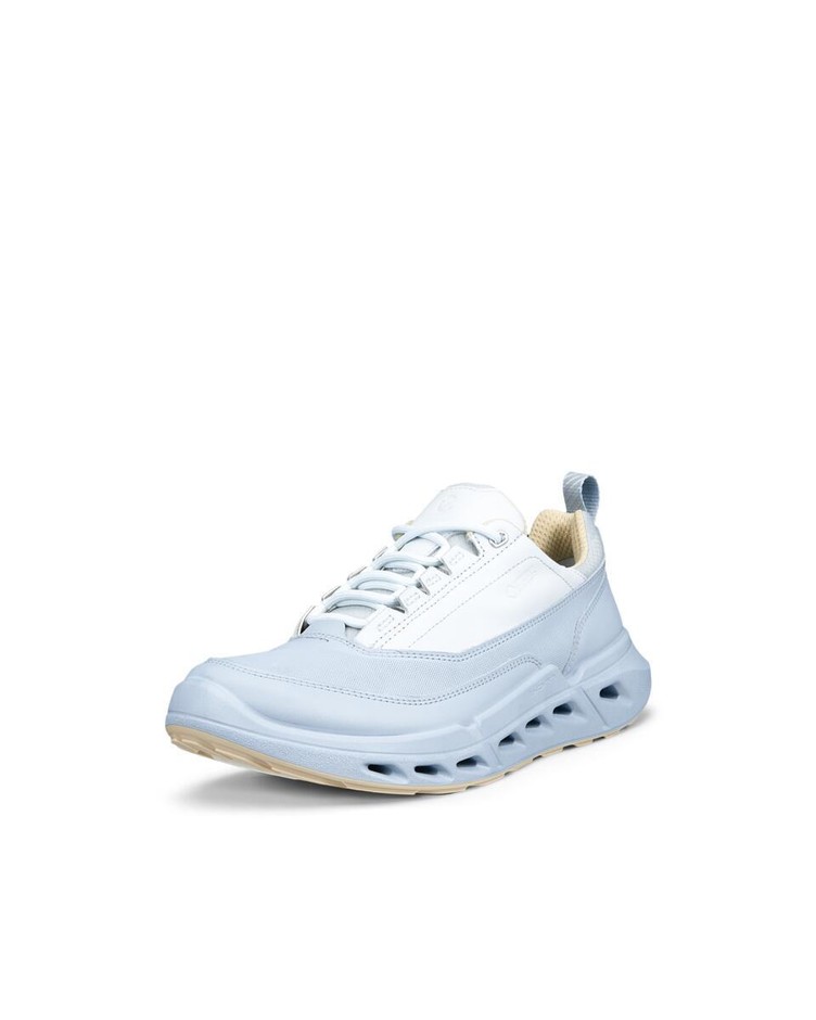 BIOM 720 W