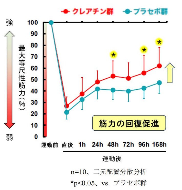 図3 運動後の筋力低下に対する クレアチンの効果