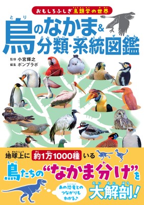 『鳥のなかま＆分類・系統図鑑』書影