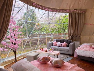 ＜1日1棟限定＞ 花粉・寒さゼロの 「インドアお花見」×「夜桜BBQ」でW満喫！ ブリリアントヴィレッジ日光、春限定プランを 3/9より期間限定スタート