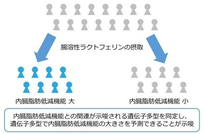 本研究結果の概要図