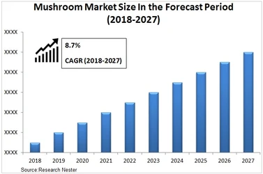 キノコ市場規模、分析、トップ企業、配送別、エンドユーザー別 2027