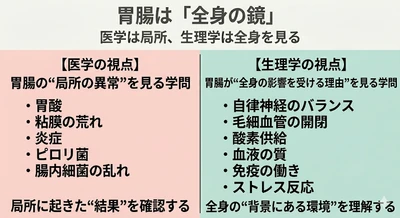 胃腸は「全身の鏡」── "生理学"で読み解けば、胃腸不調の本質が見える。第３回