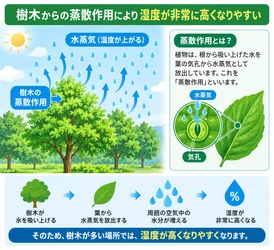林業・造園業の熱中症対策。木陰でも油断できない暑さのリスクとは