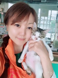 GODとSIZUKUが支援する「保護猫の家Arigato」クラウドファンディングで起死回生！