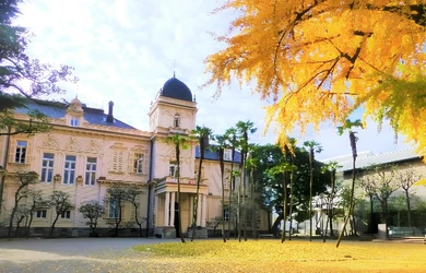 東京水辺ライン・11月のイベント便「水上バスと貸切バスで行く重要文化財『旧岩崎邸庭園』 岩崎家邸宅物語(昼食付)」11/26(水)開催！