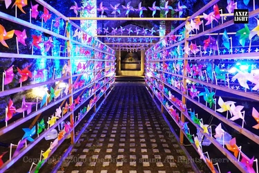 数千人の学生たちの願いが集結する源氏あやめ祭が今週いよいよ開催!
伊豆長岡と古奈が光りで一つになる歴史的快挙がついに訪れる!