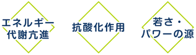 ユビキノール・還元型コエンザイムQ10　200㎎