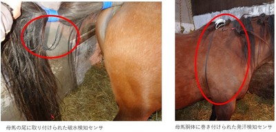 破水検知_発汗検知