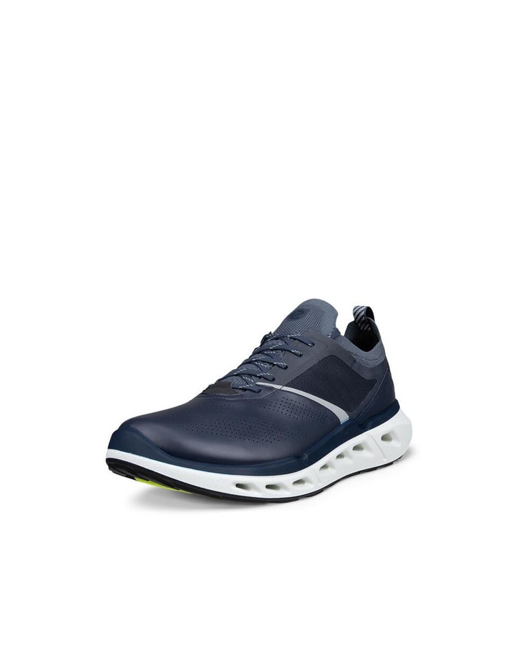 BIOM 720 M