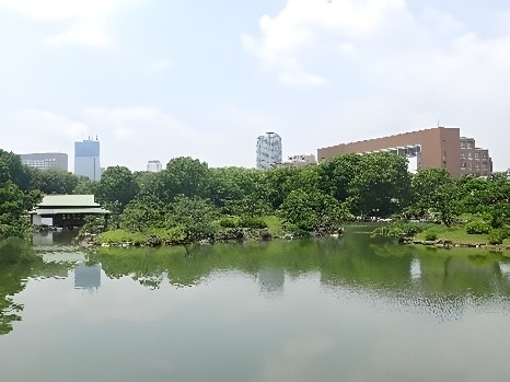 園内から見える 中村中学校・高等学校(写真右手)