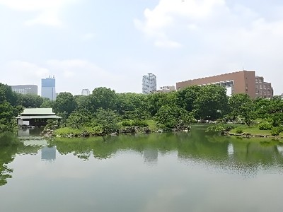 園内から見える 中村中学校・高等学校(写真右手)