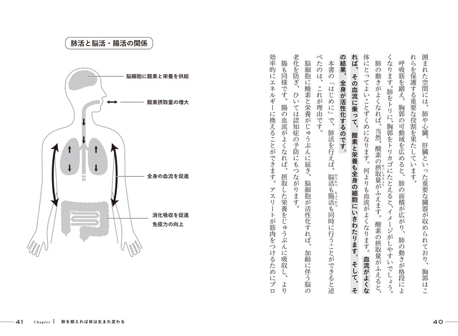 肺活と脳活・腸活の関係
