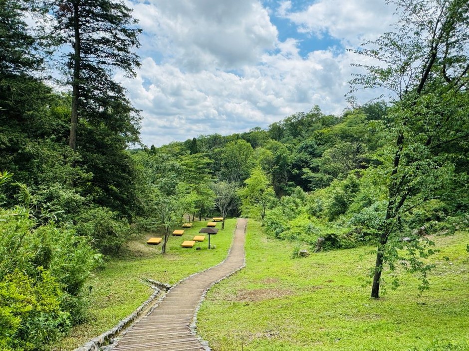 さくらの道(平山城址公園)