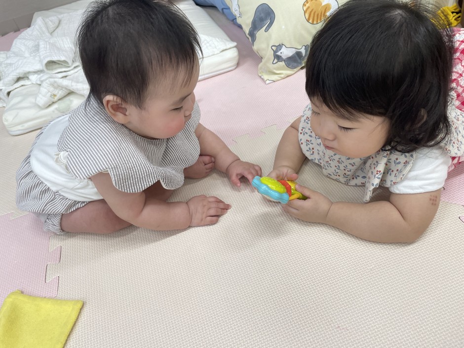 子ども同士の関わりや日々の遊びを、学びのきっかけとして大切にしています。