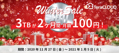 🎄写真や動画をバックアップするなら今が超お得！🎄