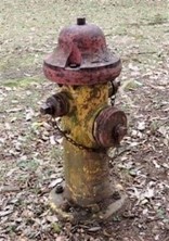 歴史を伝える消火栓 （府中の森公園）