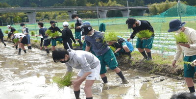昨年実施した田植え体験の様子