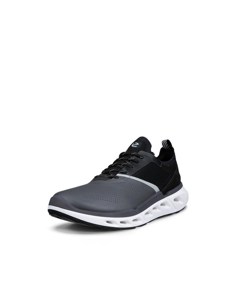 BIOM 720 M