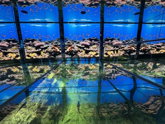 越前松島水族館　非日常・没入型体験施設として「海洋館」をリニューアル