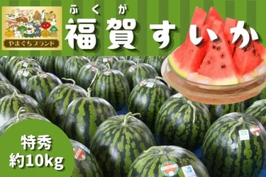 １株１果どりで旨み凝縮！やまぐちブランド登録の「福賀すいか」をＪＡタウンのショップ「正直やまぐち」で販売中！