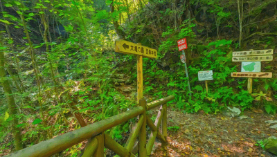 『石山の路』分岐路