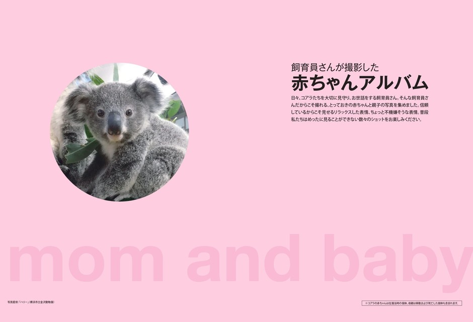 赤ちゃんアルバム