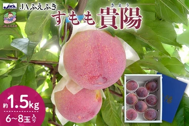 果汁あふれる贅沢な甘みのすもも「貴陽」　産地直送通販サイト「ＪＡタウン」で予約販売中！