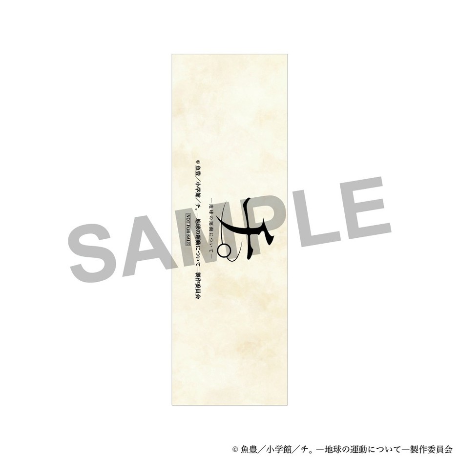 ●裏面(共通)