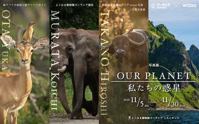 よこはま動物園ズーラシアと“wizoo” (動物園水族館から未来を考えるメディア)が コラボレーションし今年も共同写真展を開催！