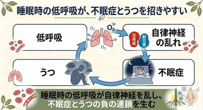 睡眠中の"呼吸構造の新変化"を確認──不眠症と「うつ」の背景にある体内環境の乱れ（精神①）