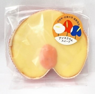アンスリウムチーズケーキ