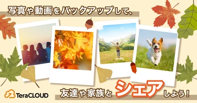 写真📸も動画🎞も、たっぷりまとめて「TeraCLOUD」でシェアしよ🍁