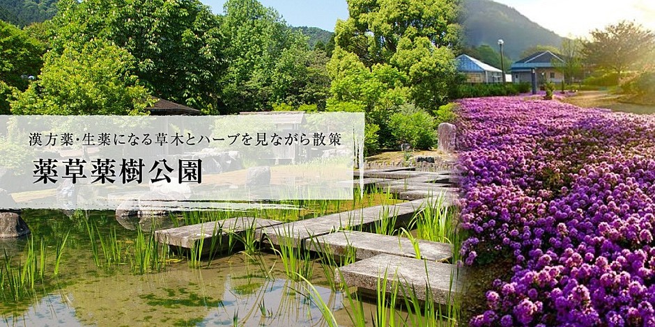 (写真)丹波の湯に使用される薬用を栽培している丹波市薬草薬樹公園(画像提供:丹波市薬草薬樹公園)